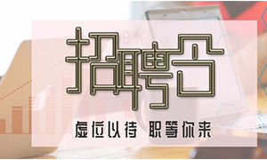 服務(wù)商戶，致力發(fā)展&mdash;安徽分公司合肥濱湖店攜手優(yōu)質(zhì)商戶人才招聘會(huì) 